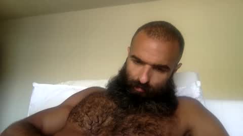 woof_wolf37 online show from May 31, 5:42 pm