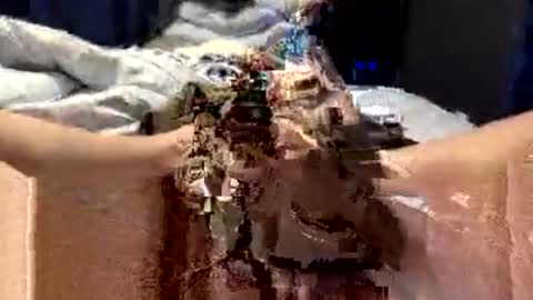 Snapshot of workplace_proximity_associate chatting on September 28, 12:10 pm workplace_proximity_associate online show from September 28, 12:10 pm