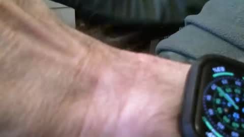 Snapshot of wrangleat0r chatting on November 16, 9:20 pm wrangleat0r online show from November 16, 9:20 pm