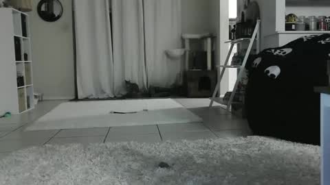 Crystal Lake online show from January 12, 9:08 am