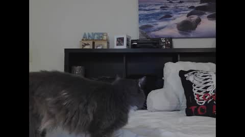 Crystal Lake online show from September 25, 10:19 am