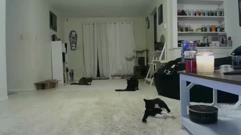 Crystal Lake online show from October 19, 7:42 am