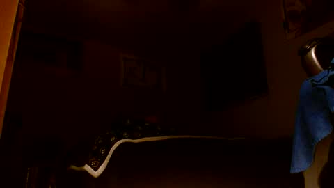 Snapshot of wvuguy1986 chatting on March 8, 5:22 am wvuguy1986 online show from March 8, 5:22 am