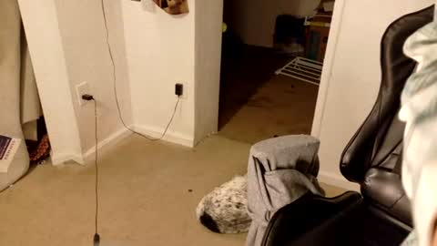 Wyatt online show from June 27, 5:34 am