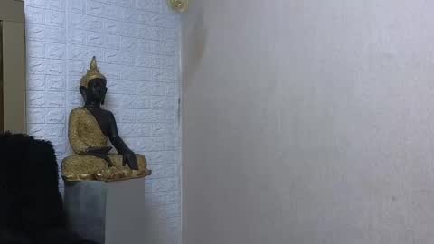 ximena online show from February 17, 9:19 pm