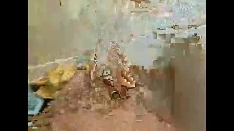 Jj880 online show from November 27, 4:53 pm