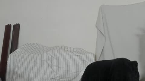 MetalstudMaster online show from February 9, 8:13 pm