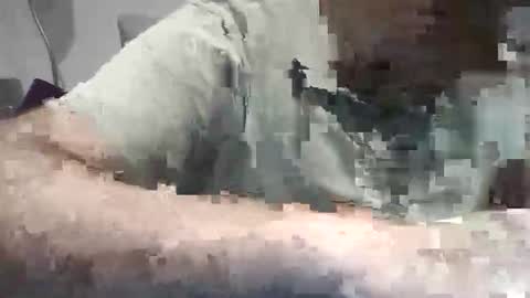 Snapshot of xoriso chatting on October 31, 6:53 pm xoriso online show from October 31, 6:53 pm