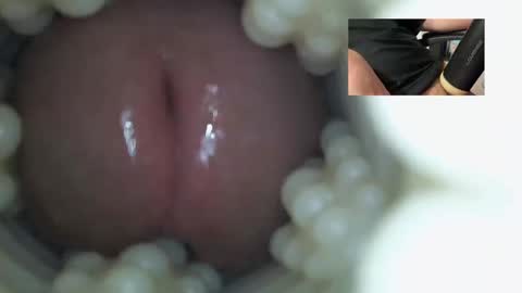 xoxowtf online show from December 21, 1:57 am