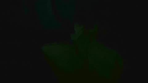 Snapshot of xposed_edger chatting on March 2, 5:33 am xposed_edger online show from March 2, 5:33 am