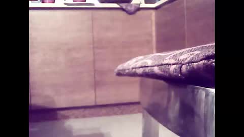 xsoul72 online show from February 26, 4:56 pm