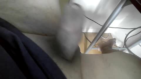 Snapshot of xxenryxx92 chatting on June 15, 4:20 pm xxenryxx92 online show from June 15, 4:20 pm
