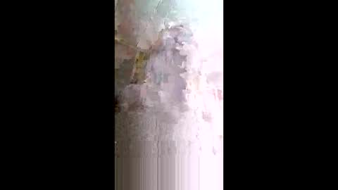 Snapshot of xxjessiebugxx chatting on May 14, 2:29 am xxjessiebugxx online show from May 14, 2:29 am