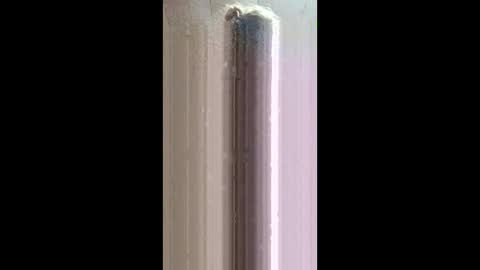 Snapshot of xxjessiebugxx chatting on May 20, 2:40 am xxjessiebugxx online show from May 20, 2:40 am