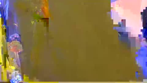 Kelsey online show from February 5, 3:00 am