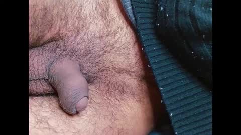 Prince online show from January 12, 11:10 pm