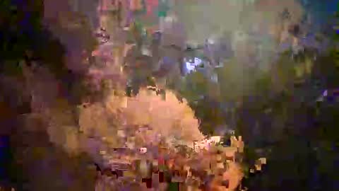 xxxmc87 online show from September 20, 7:09 am