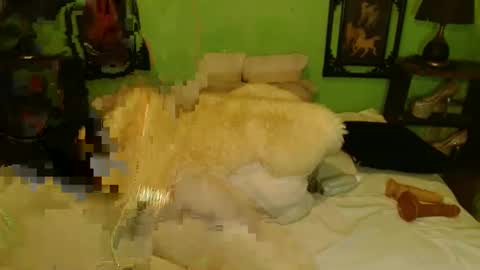 PAMPAM online show from January 13, 12:24 pm