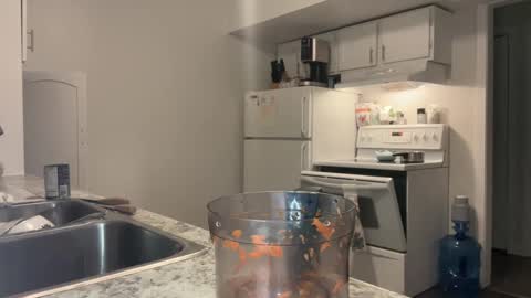 Snapshot of xyleialuv chatting on February 22, 4:29 am Xylea Luv online show from February 22, 4:29 am