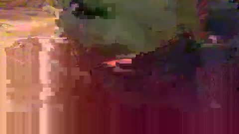 yangolox3 online show from February 15, 5:48 am