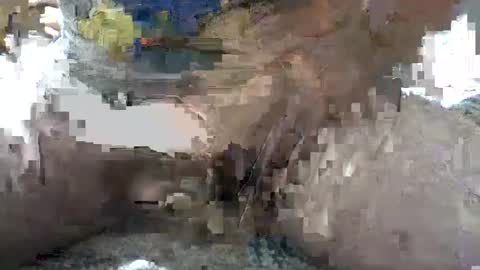 Yankee online show from October 6, 5:38 am