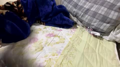 Snapshot of yasarsimo99154258 chatting on February 23, 12:09 am yasarsimo99154258 online show from February 23, 12:09 am