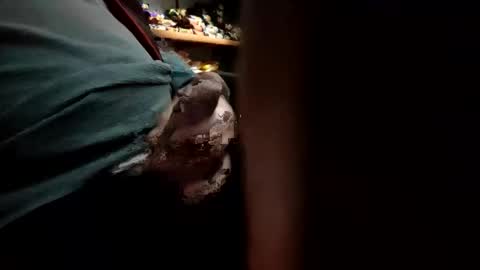 yay31 online show from November 9, 12:31 am