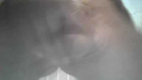 Snapshot of yaycarr9 chatting on June 12, 10:52 pm yaycarr9 online show from June 12, 10:52 pm