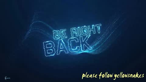 .     y e l l o w s n a k e s       . online show from October 10, 7:18 am