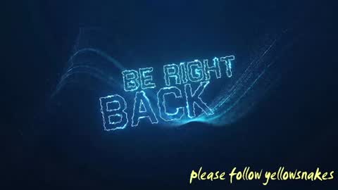 .     y e l l o w s n a k e s       . online show from November 24, 10:42 pm