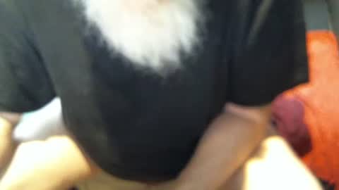 .     y e l l o w s n a k e s       . online show from December 5, 6:04 pm