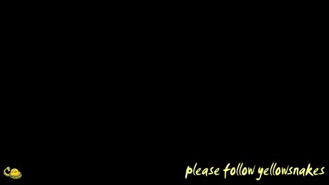 .     y e l l o w s n a k e s       . online show from January 7, 8:00 pm