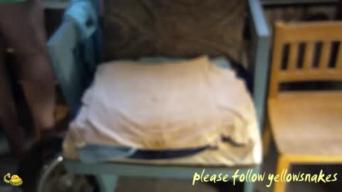 .     y e l l o w s n a k e s       . online show from March 5, 3:08 pm