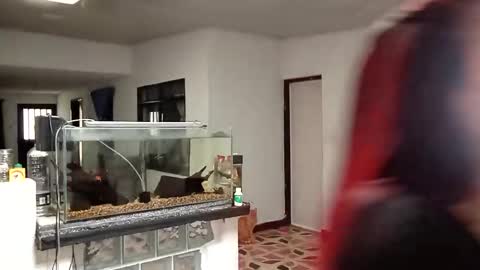 yesika_t online show from January 9, 5:48 pm