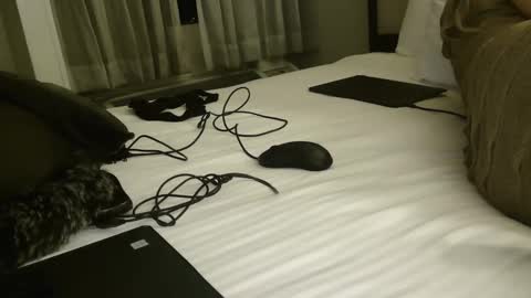 CUMONURFACE online show from February 12, 9:52 am