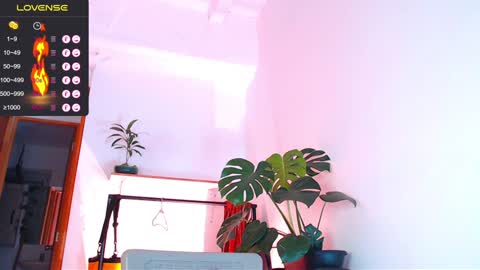 Enzo online show from January 6, 3:09 am