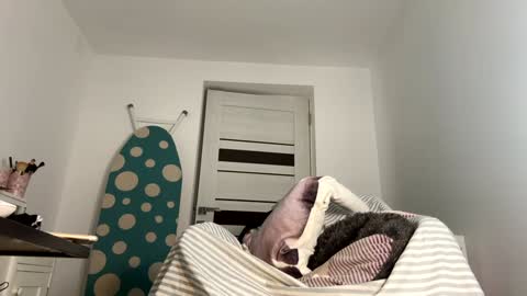 Snapshot of you_love_melisa chatting on January 9, 8:44 pm private on 18 per minute start private 500 tokensOnlyfans online show from January 9, 8:44 pm