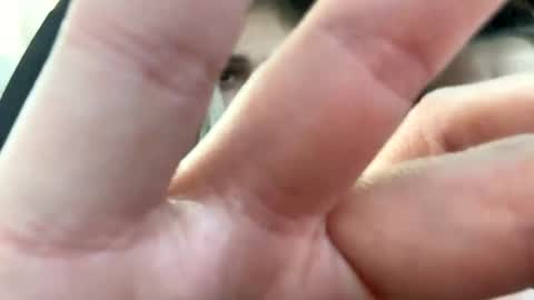 Snapshot of you_love_melisa chatting on January 24, 10:11 am private on 18 per minute start private 500 tokensOnlyfans online show from January 24, 10:11 am