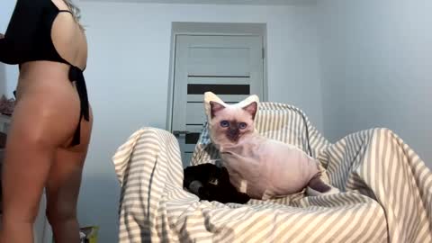 Snapshot of you_love_melisa chatting on January 31, 9:59 am private on 18 per minute start private 500 tokensOnlyfans online show from January 31, 9:59 am