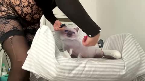 Snapshot of you_love_melisa chatting on February 1, 9:32 am private on 18 per minute start private 500 tokensOnlyfans online show from February 1, 9:32 am