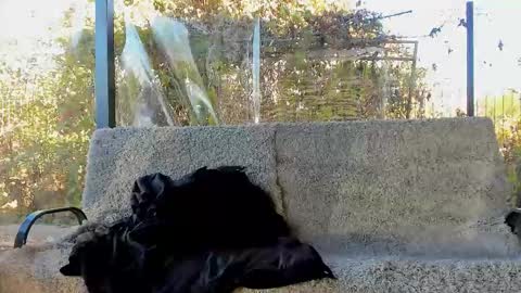 Snapshot of you_love_melisa chatting on October 29, 9:11 am private on 18 per minute start private 500 tokensOnlyfans online show from October 29, 9:11 am