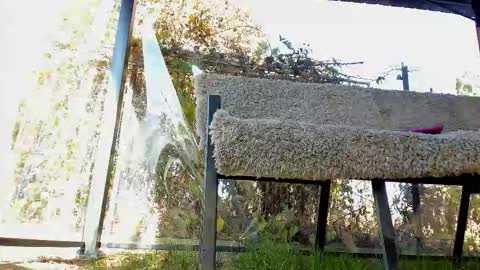 Snapshot of you_love_melisa chatting on November 2, 11:56 am private on 18 per minute start private 500 tokensOnlyfans online show from November 2, 11:56 am