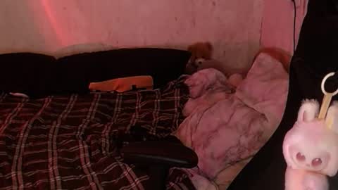 your_8a8y online show from November 18, 4:33 pm