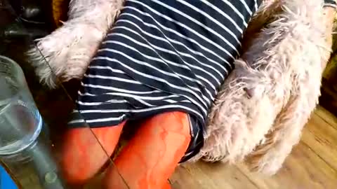 Taylor Tash online show from December 1, 4:39 am