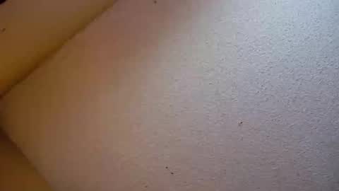 Snapshot of your_king_of_hearts chatting on October 21, 7:14 pm Sophiestar online show from October 21, 7:14 pm