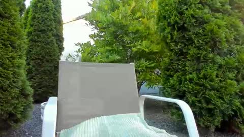 Snapshot of yourjackdick chatting on June 11, 4:32 am Jacky online show from June 11, 4:32 am