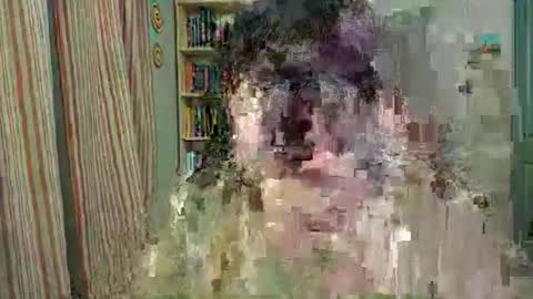 Rose Noire online show from April 10, 12:49 am