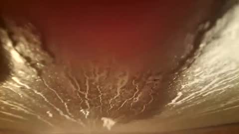 youth505 online show from December 5, 2:20 am