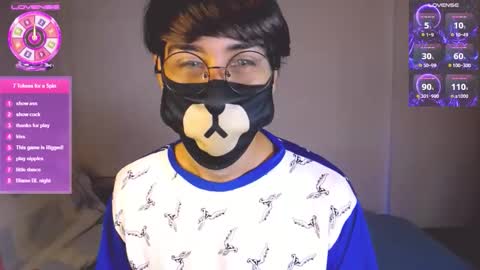 the puppy boy online show from April 13, 3:34 am