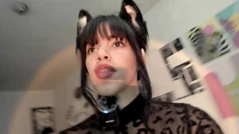 Snapshot of yury_sun chatting on November 26, 8:43 pm paola online show from November 26, 8:43 pm